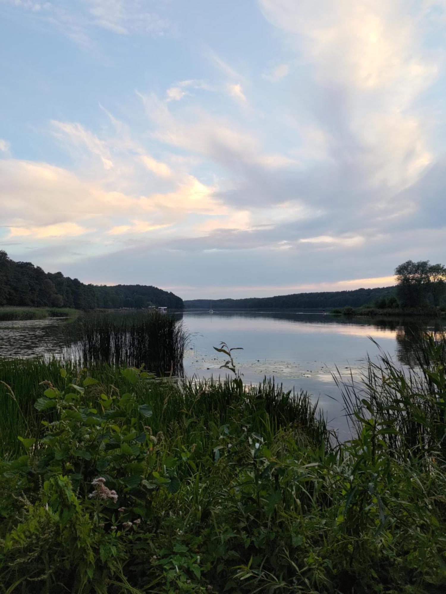 Mazurska Bania U Pana Szeptuna - Drewniany Dom Na Skraju Lasu Lidzbark Welski Buitenkant foto